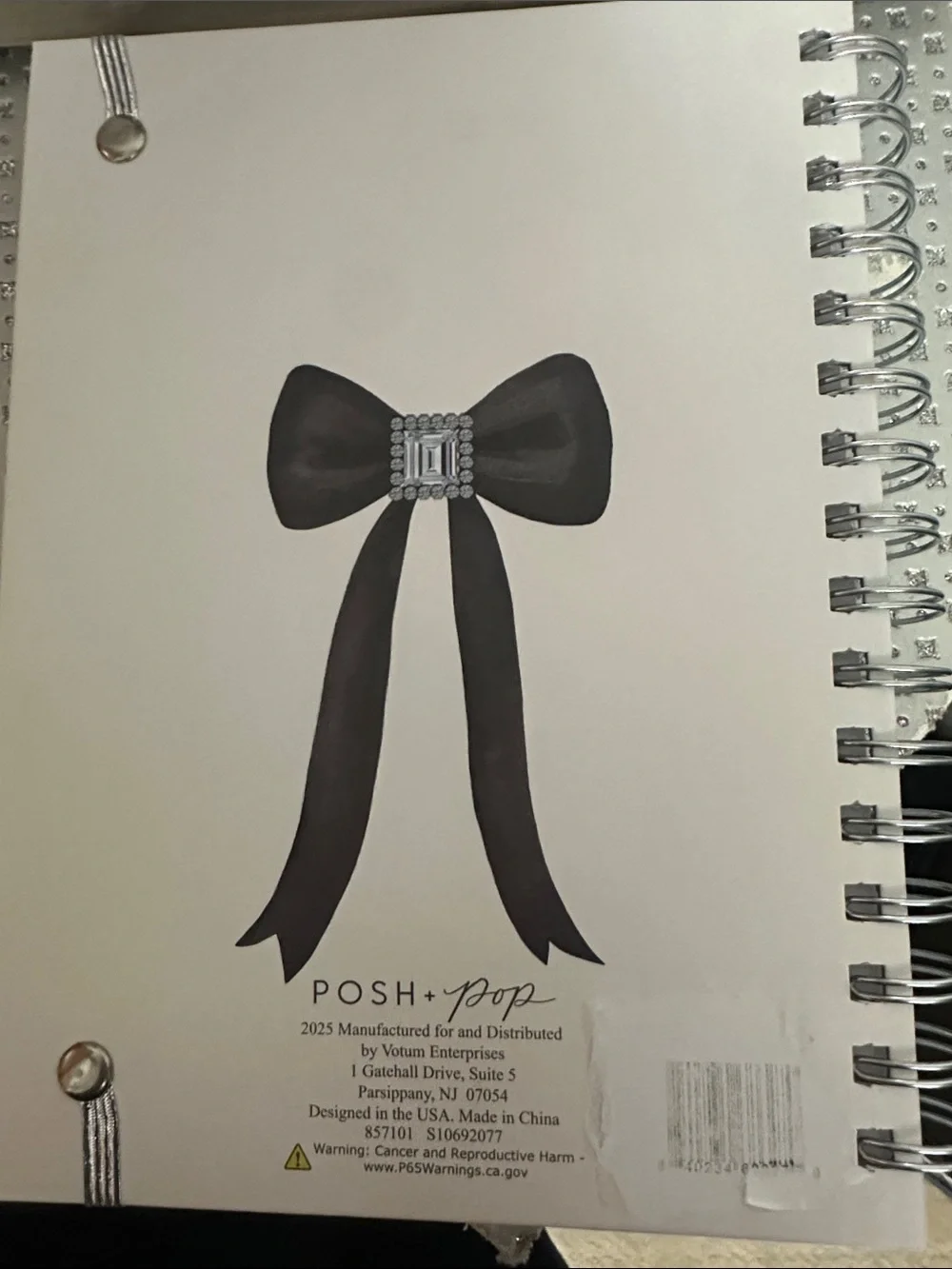Posh + Pop Bow Top Silver Ballpoint Pen and Journal